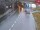 Webcam in Sankt Christoph am Arlberg, 1.2 km