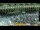 Webcam in La Mecca, 1615.9 km