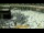 Webcam in Mekka, 1616.6 km