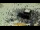 Webcam in Mekka, 1615.9 km entfernt