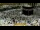 Webcam in Mekka, 1526.5 km