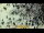 Webcam in Mecca, 629.4 mi away