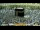 Webcam in Mekka, 1270.7 km entfernt