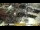 Webcam in Mekka, 1526.5 km
