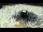 Webcam in Mecca, 464.9 mi away
