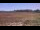 Webcam in Les Landes-Genusson, 0 mi away