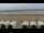 Webcam in Zandvoort, 50.8 km