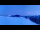 Webcam in Morgins, 5.1 km
