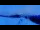Webcam in Morgins, 6.8 mi away