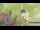 Webcam in Chengde, 430.5 km