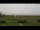 Webcam in Gollendorf (Fehmarn), 10.1 km