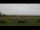 Webcam in Gollendorf (Fehmarn), 9.5 km