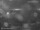 Webcam in Rotterdam, 10.7 mi away