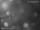 Webcam in Rotterdam, 10.7 mi away