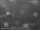 Webcam in Rotterdam, 31.5 km