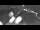 Webcam in Varel, 27.7 km entfernt