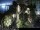 Webcam in Malaga, 1.4 mi away