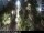 Webcam in Malaga, 47.5 km entfernt