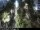 Webcam in Malaga, 0.7 mi away