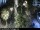 Webcam in Malaga, 1.2 km entfernt