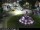 Webcam in Malaga, 0.1 mi away