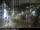 Webcam in Malaga, 15.8 km entfernt