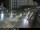 Webcam in Malaga, 4.7 mi away