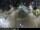 Webcam in Malaga, 9.6 mi away
