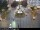 Webcam in Málaga, 15.7 km