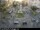 Webcam in Malaga, 9.6 mi away