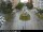Webcam in Malaga, 0.6 mi away