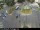 Webcam in Málaga, 1.6 km