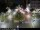 Webcam in Malaga, 24.9 km entfernt