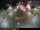 Webcam in Málaga, 12.2 km
