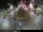 Webcam in Málaga, 15.2 km