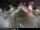 Webcam in Malaga, 9.6 mi away