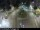 Webcam in Málaga, 24.9 km