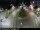 Webcam in Malaga, 0.9 km entfernt
