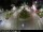 Webcam in Malaga, 0.6 mi away