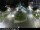 Webcam in Malaga, 26.4 km entfernt