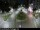 Webcam in Malaga, 0.4 mi away