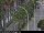 Webcam in Malaga, 17.5 mi away