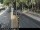 Webcam in Malaga, 5.2 mi away