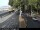 Webcam in Malaga, 0.8 km entfernt