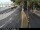 Webcam in Malaga, 18.8 km