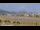 Webcam in Philipsburg, Sint Maarten, 194.1 km