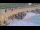 Webcam in Philipsburg, Sint Maarten, 125.2 mi away