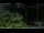 Webcam in Philipsburg, Sint Maarten, 66.8 mi away