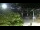 Webcam in Philipsburg, Sint Maarten, 25.9 km