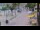 Webcam in Philipsburg, Sint Maarten, 0.5 km